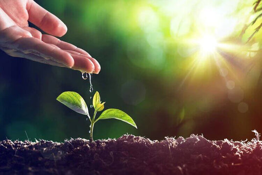 Saving Water In The Modern Home - Eco Sustainable House