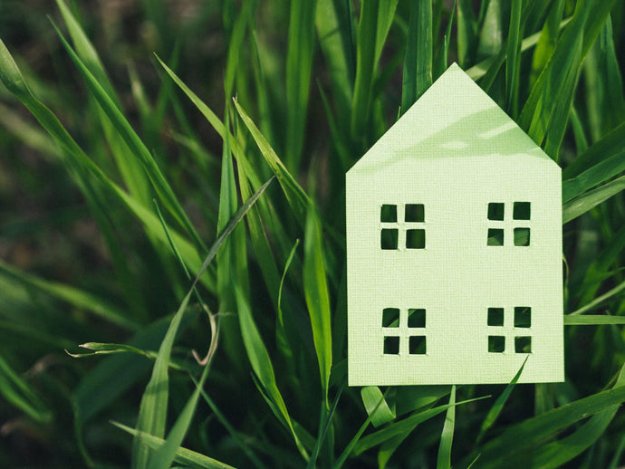 What makes a home Eco-Sustainable? A guide to Greener Living