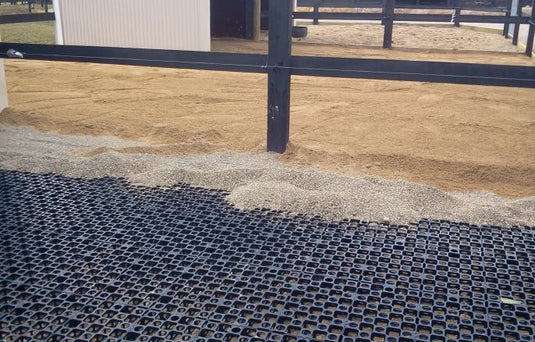 Horse Stable